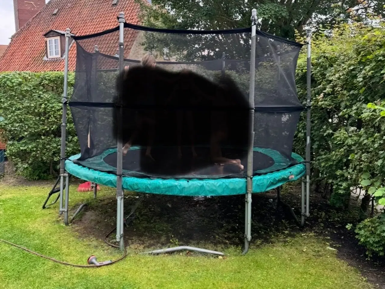 Billede 3 - Berg 3.30 Champions trampolin