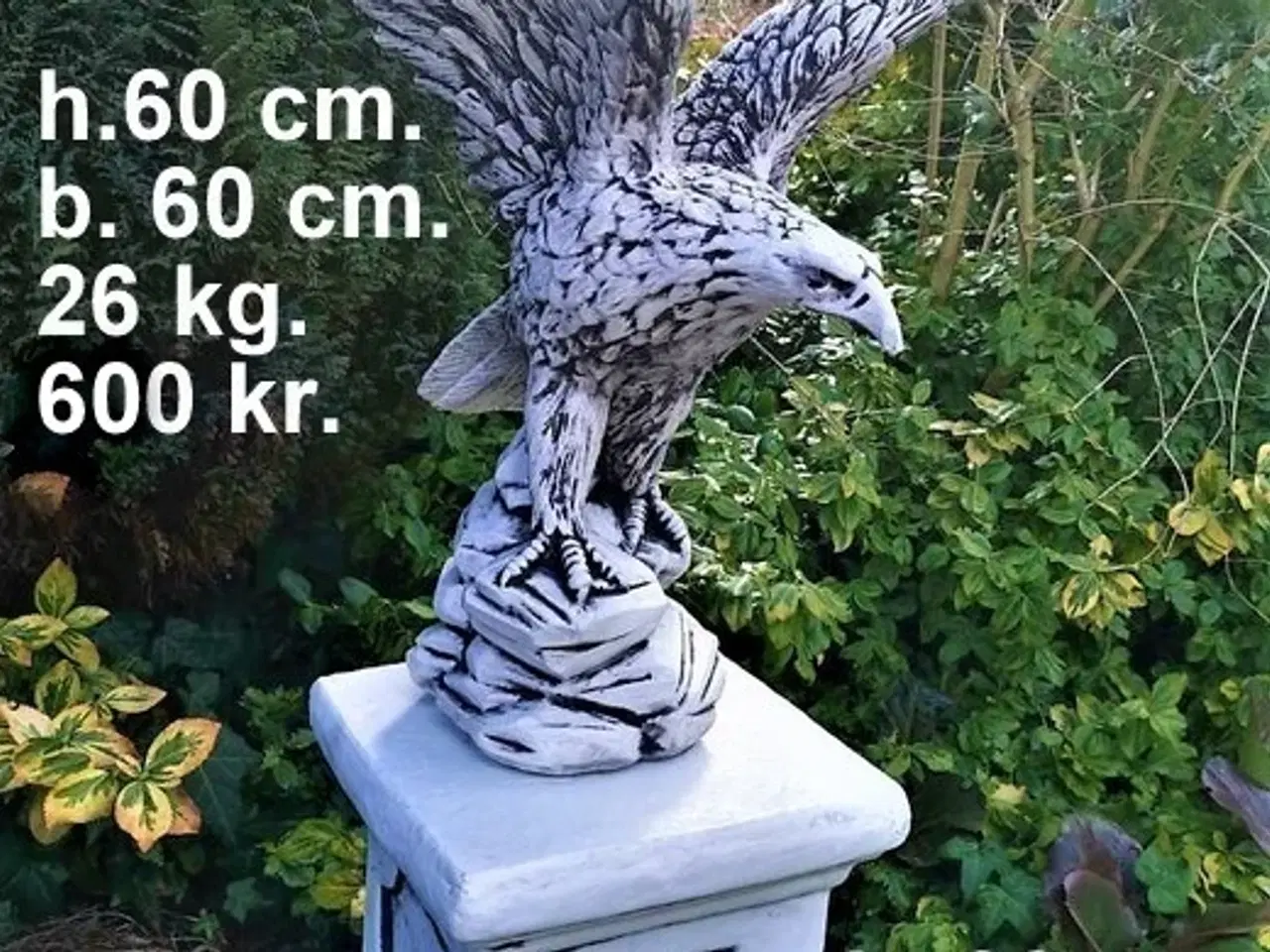 Billede 18 - HAVEFIGUR - ØRN -flere modeller - frostsikre