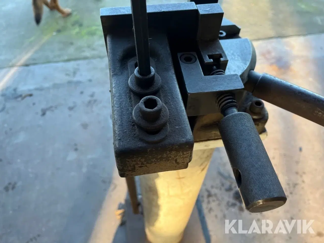 Billede 9 - Fladjernsbukker Gressel med stander