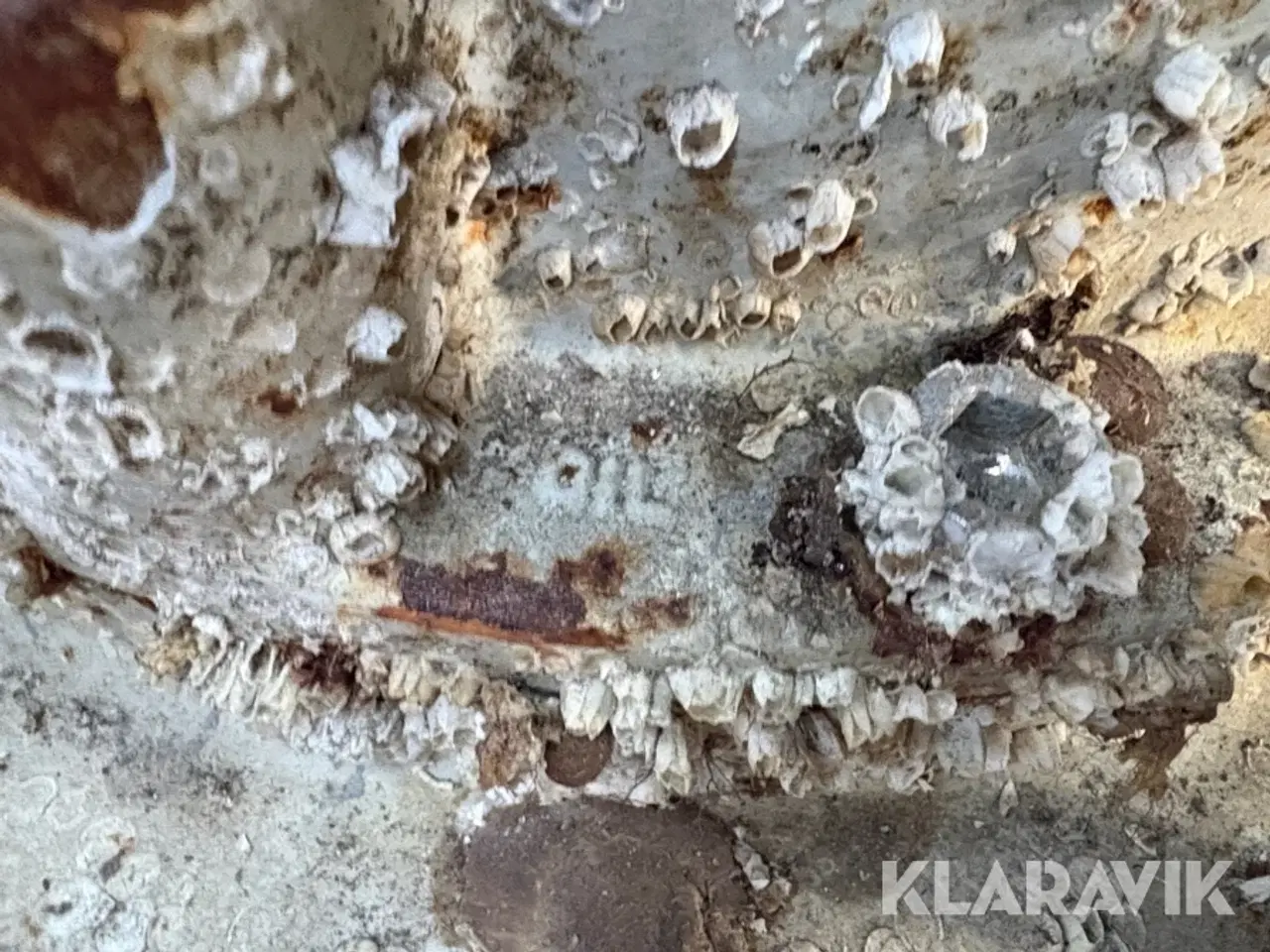 Billede 11 - Dykpumpe Flygt 8 tommer 1 styk