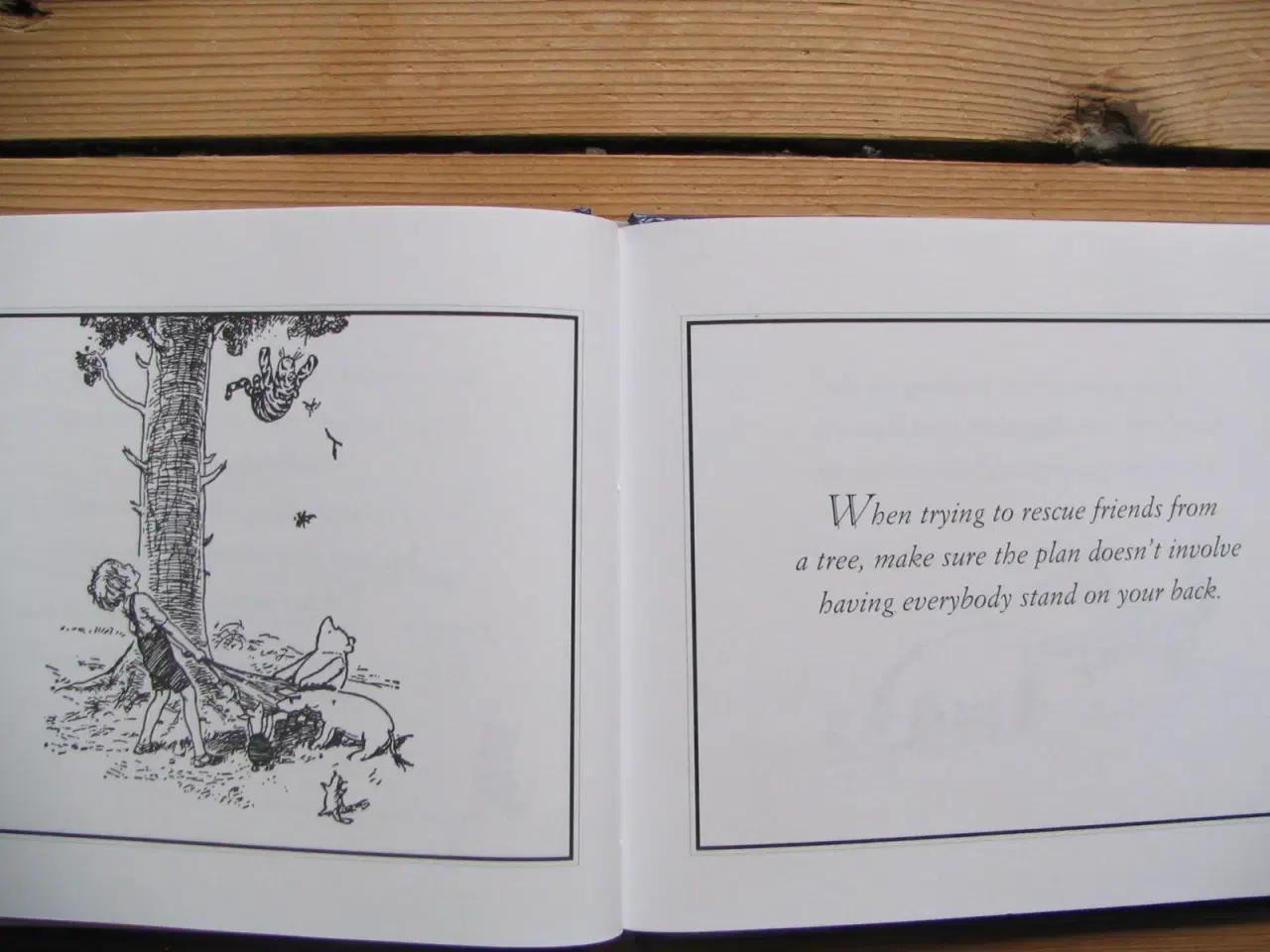 Billede 5 - Eeyore's Gloomy Little Instruction Book