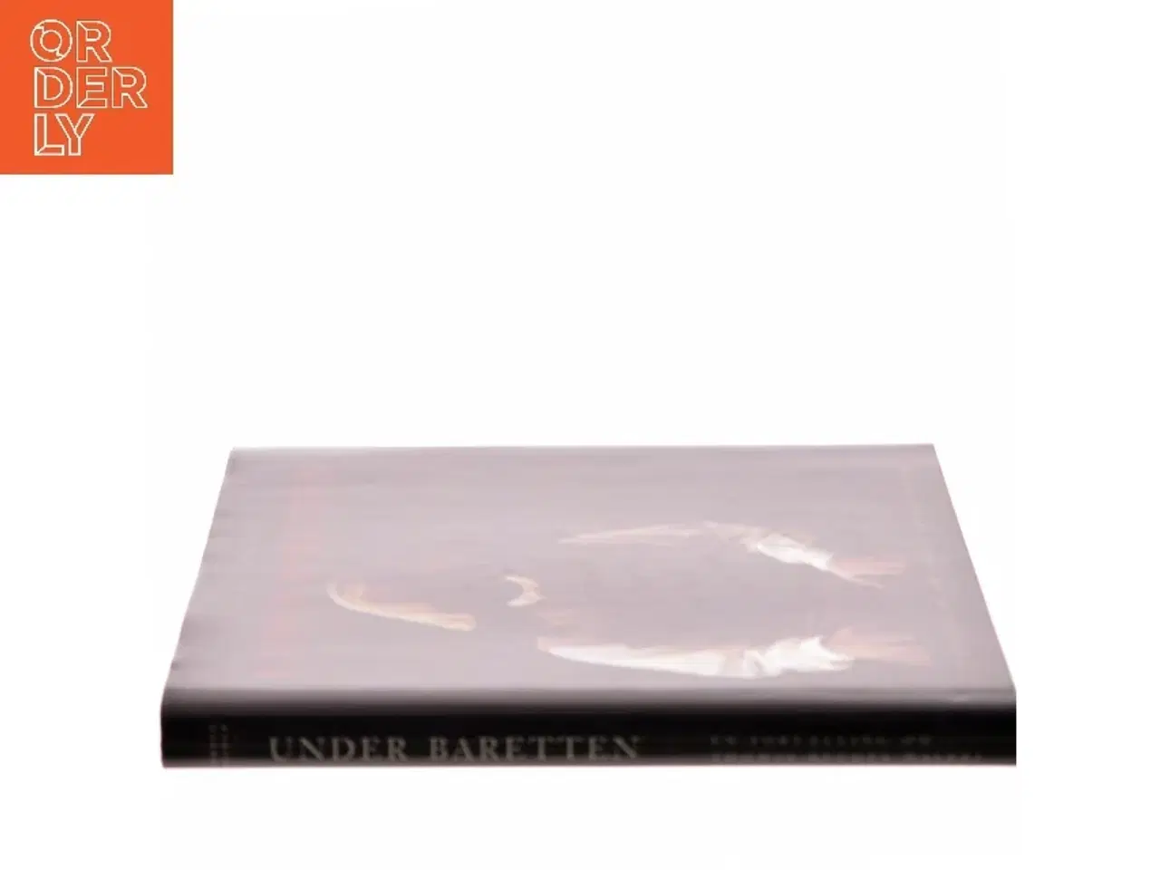 Billede 2 - Under baretten : en fortælling om Thomas Kluges maleri af Torben Weirup (Bog)