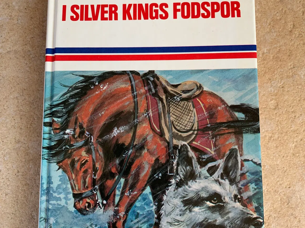 Billede 1 - I Silver Kings fodspor bog 