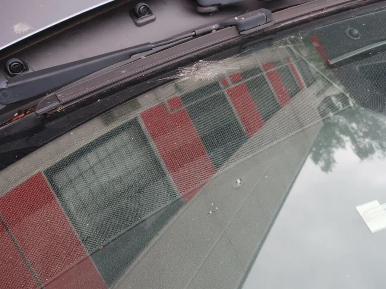 Billede 29 - Personbil MERCEDES E220 Bluetec diesel (momsfri) (uden afgift)