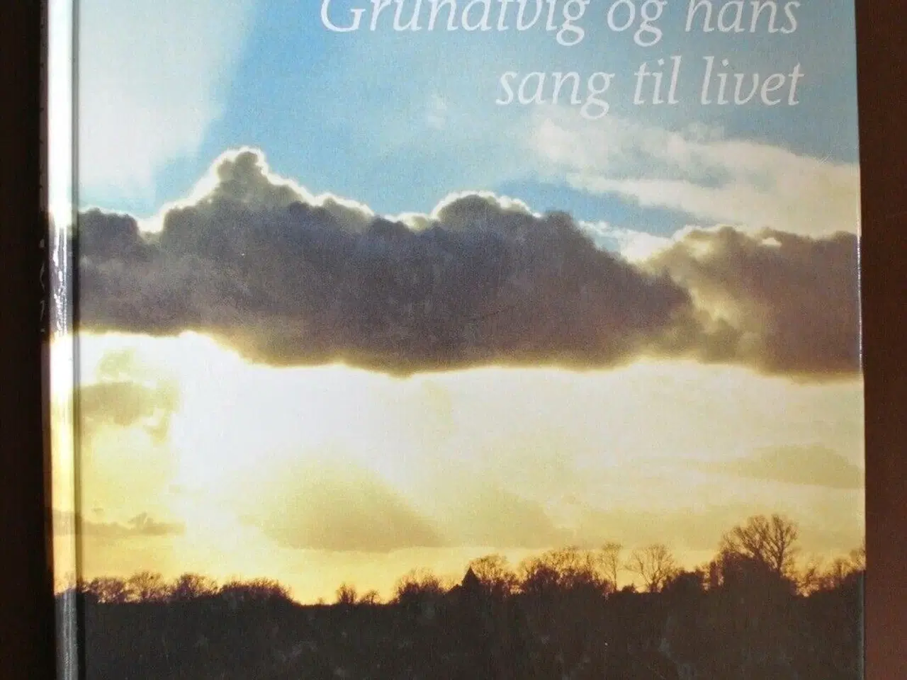 Billede 1 - solskin og lyn - grundtvig og hans sang til livet,