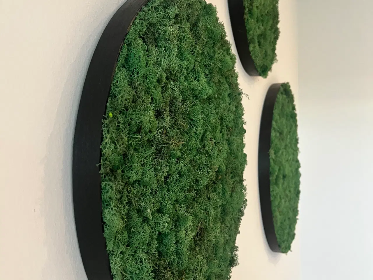 Billede 15 - Mos billeder 