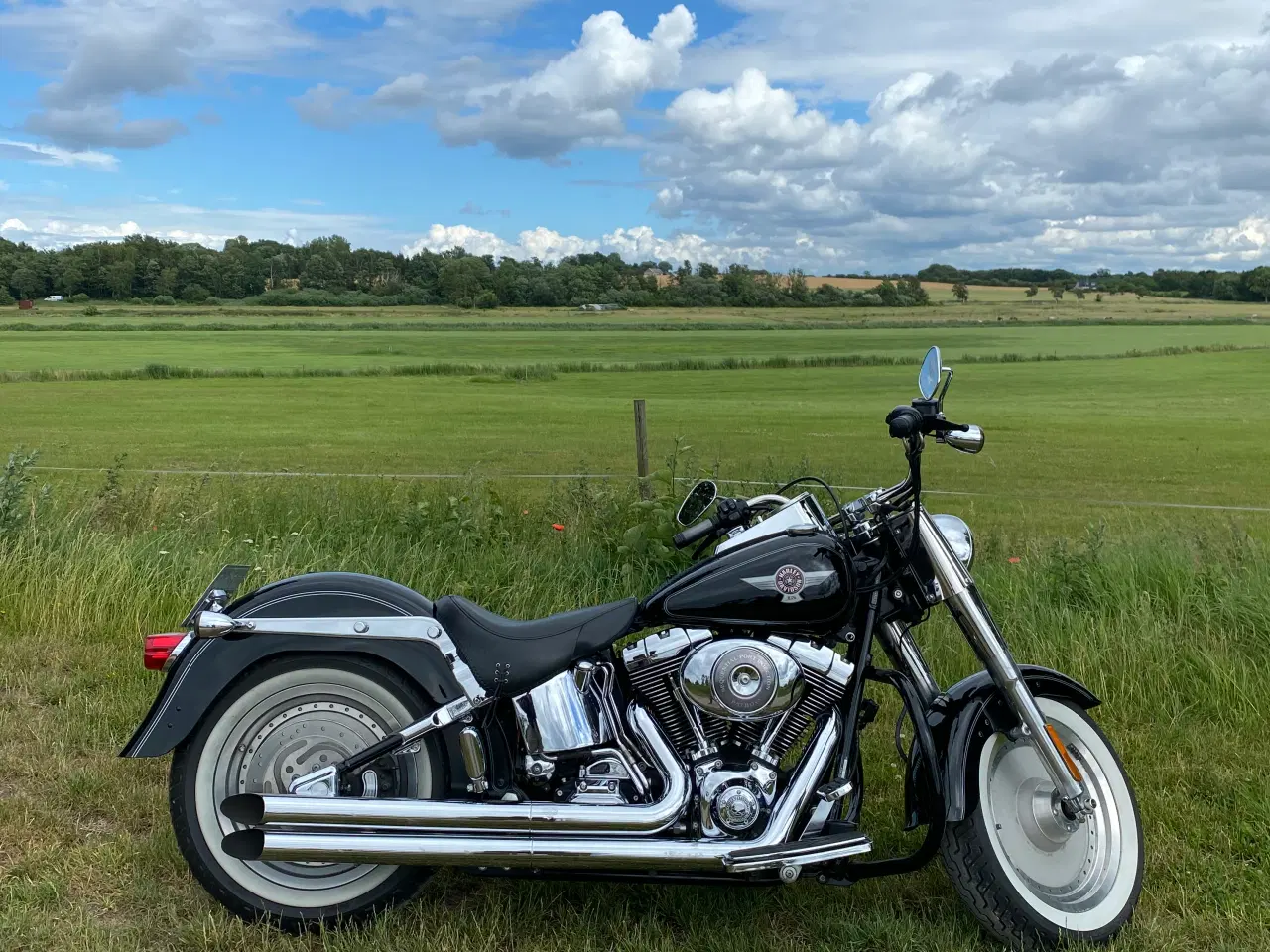 Billede 1 - Harley Davidson Fatboy 