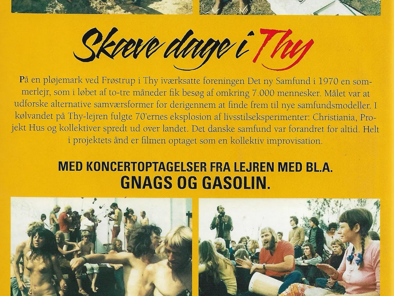 Billede 2 - Skæve dage i THY