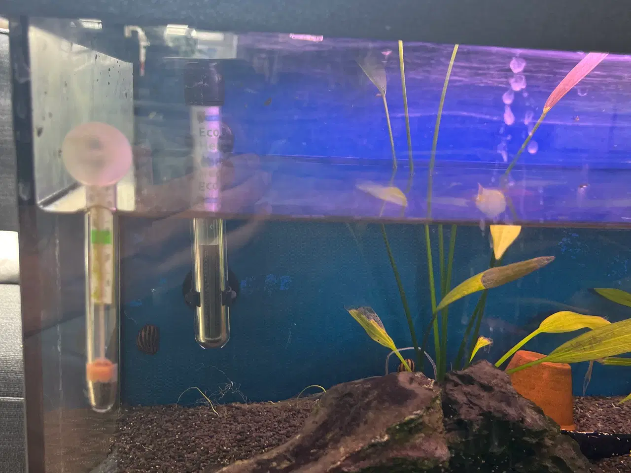 Billede 2 - Akvarie 54L