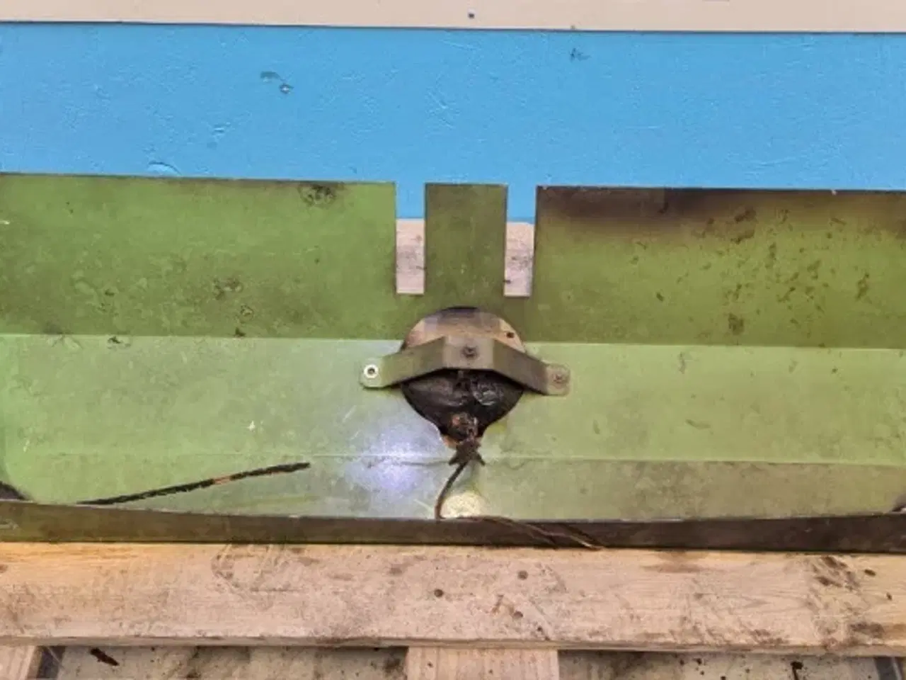 Billede 13 - Fendt 12130N Beskyttelsesskærm 700142804