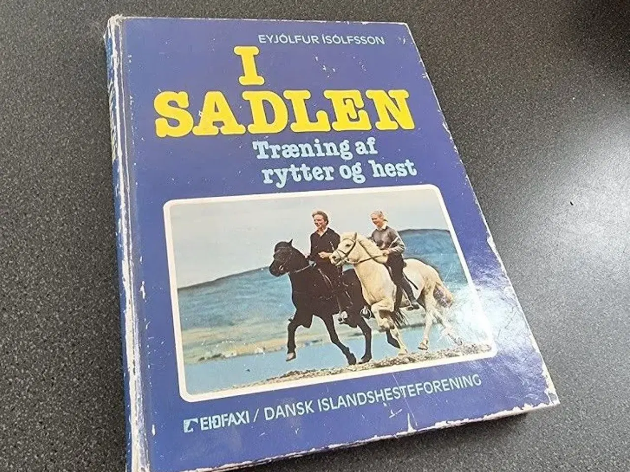 Billede 1 - I sadlen : træning af rytter og hest af Eyjólfur Í