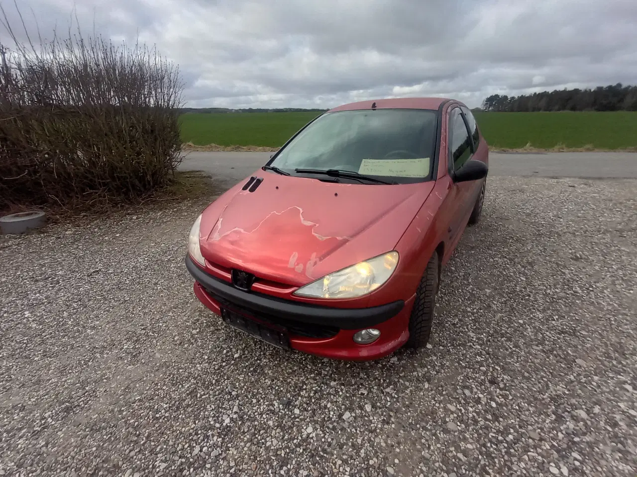 Billede 10 - Nysynet  206 1.6 8v benzin 