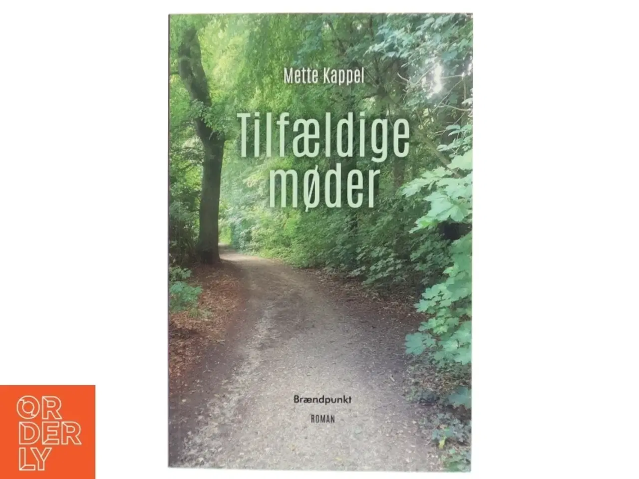 Billede 1 - Tilfældige møder : roman af Mette Kappel (Bog)