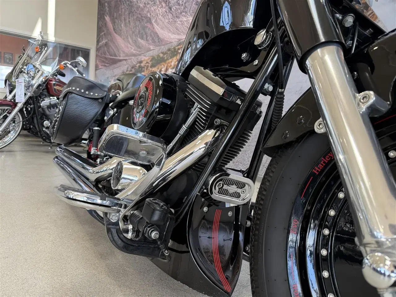 Billede 11 - Harley-Davidson FXSTC SOFTAIL CUSTOM 1340 Evo