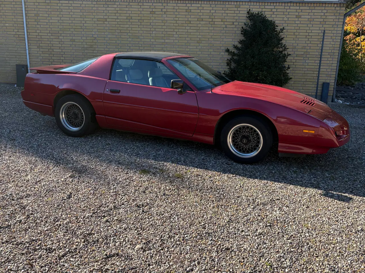Billede 7 - Pontiac Trans Am Targa 5.0 V8