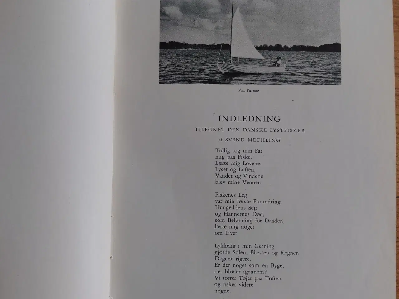 Billede 2 - Lystfisker Bogen – Håndbog i Fiskesport