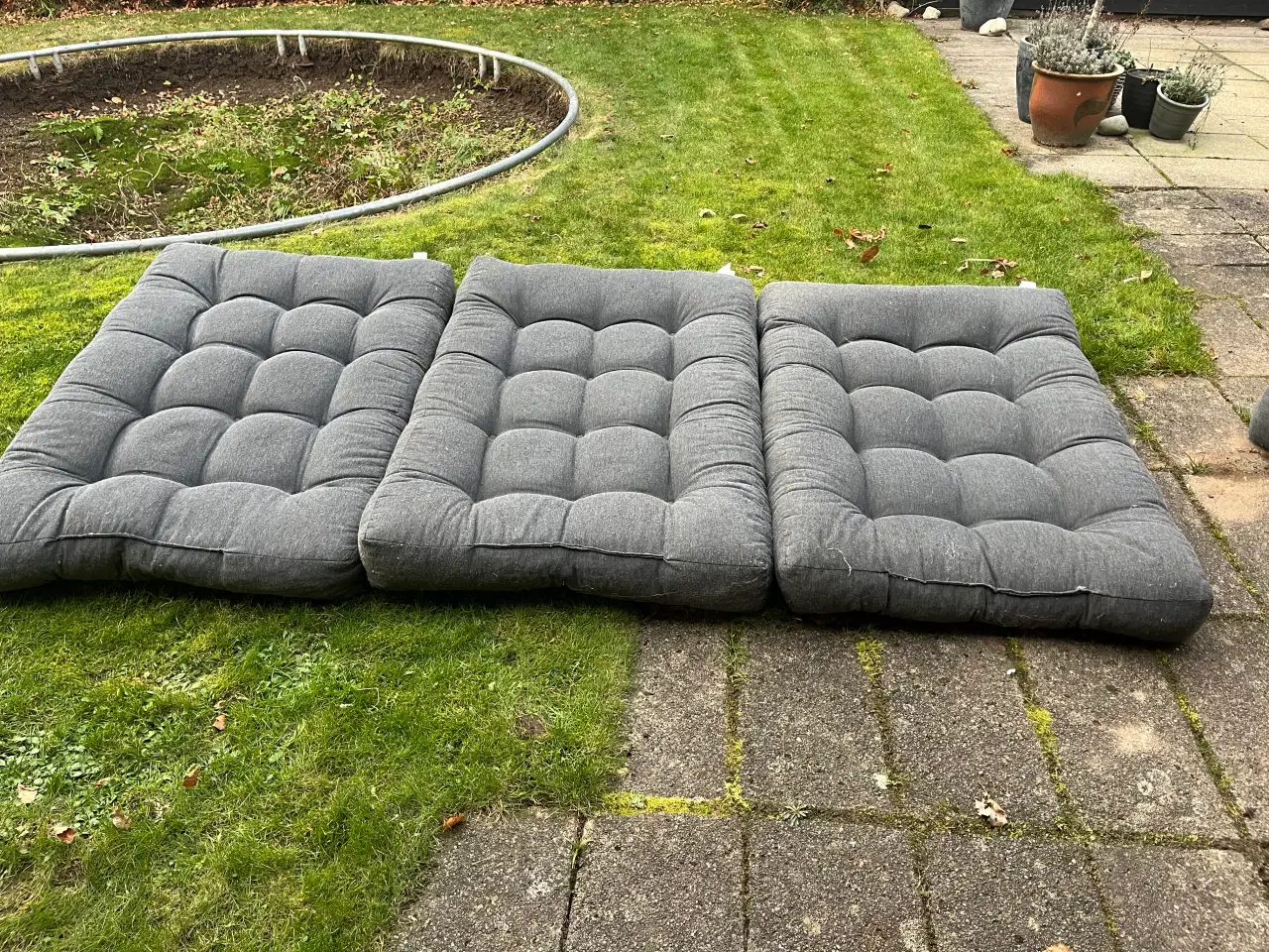 Billede 2 - Her er de havehynder du altid står og mangler.....