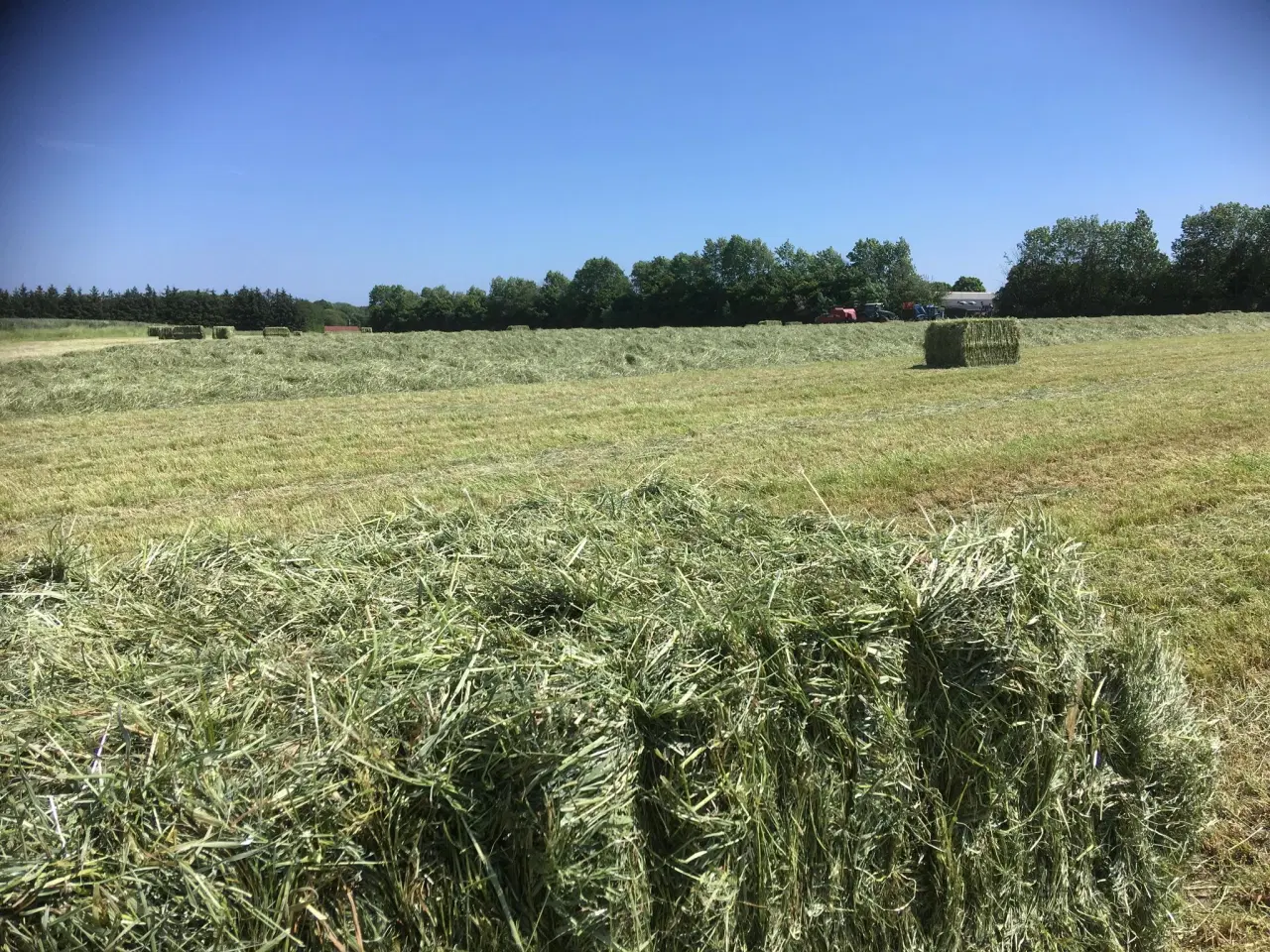 Billede 3 - WRAP HØ. Tørt.