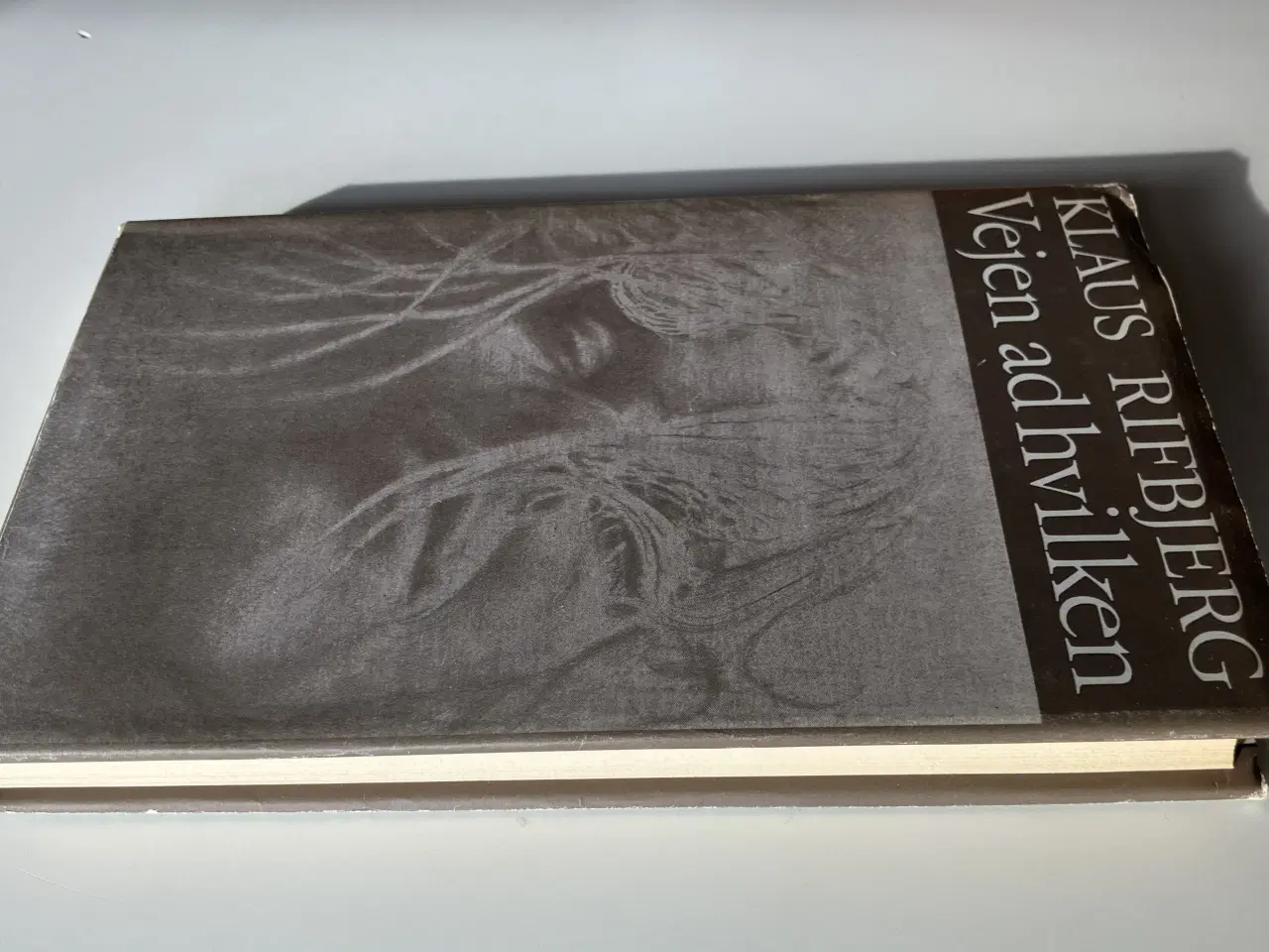 Billede 7 - Vejen ad hvilken. Af Klaus Rifbjerg