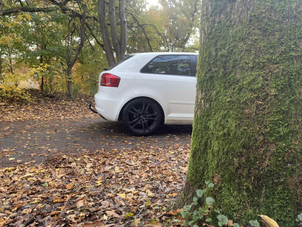 Billede 2 - Audi A3 8P Facelift ( Fuld Service bog )