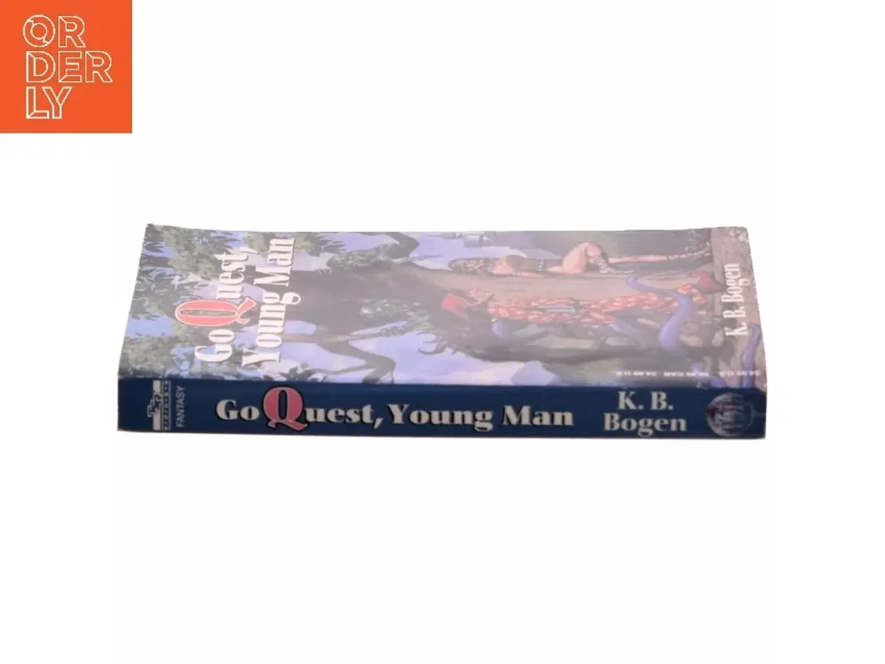 Billede 2 - Go Quest Young man