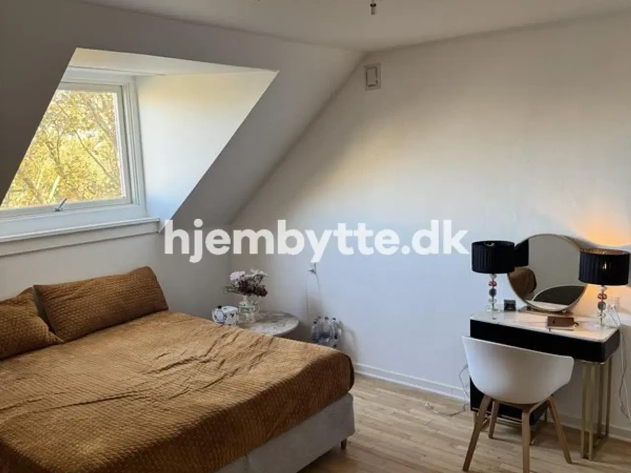 Billede 8 - Hjembytte - Buskager