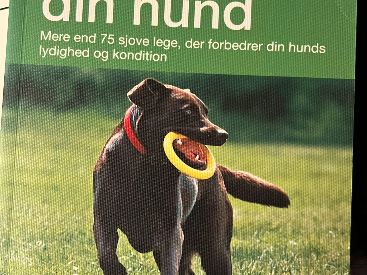 Billede 9 - Hundetræning, adfærd og viden om hunde