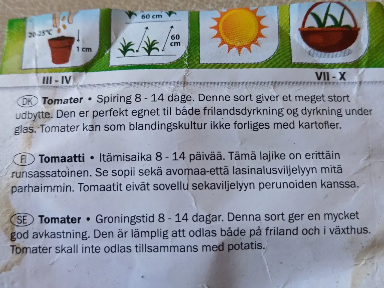 Billede 6 - Tomatplanter mange forskellige