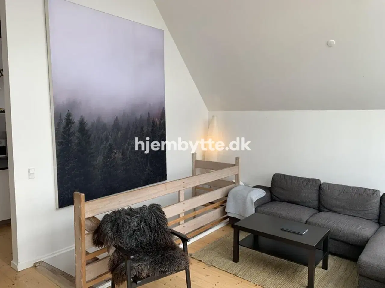 Billede 10 - Hjembytte - SkydebaneAlle
