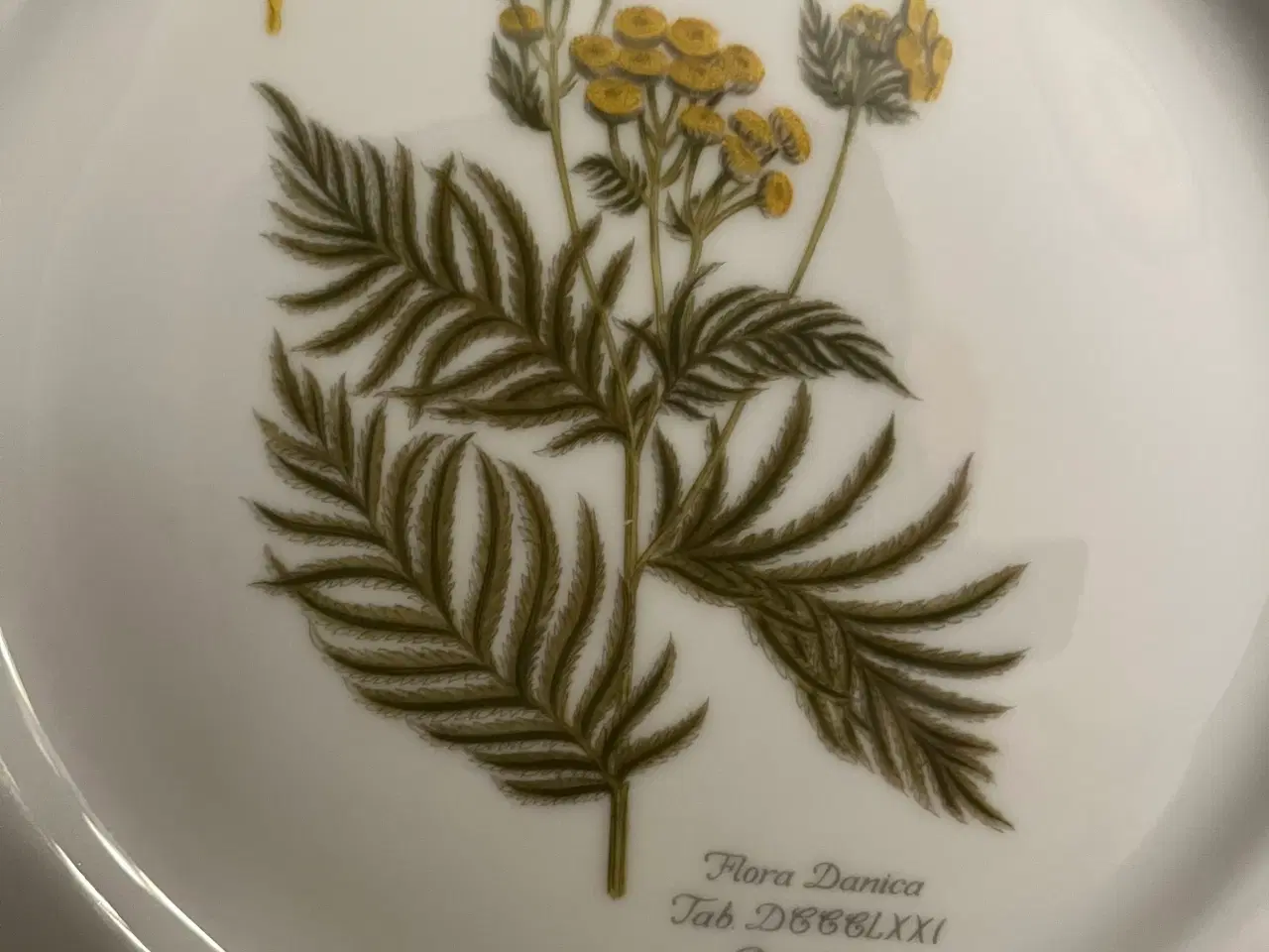 Billede 6 - Flora Danica tallerkener 