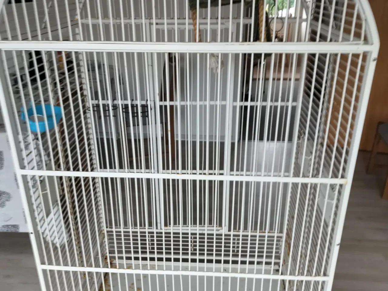 Billede 1 - Stort fuglebur til store fugle