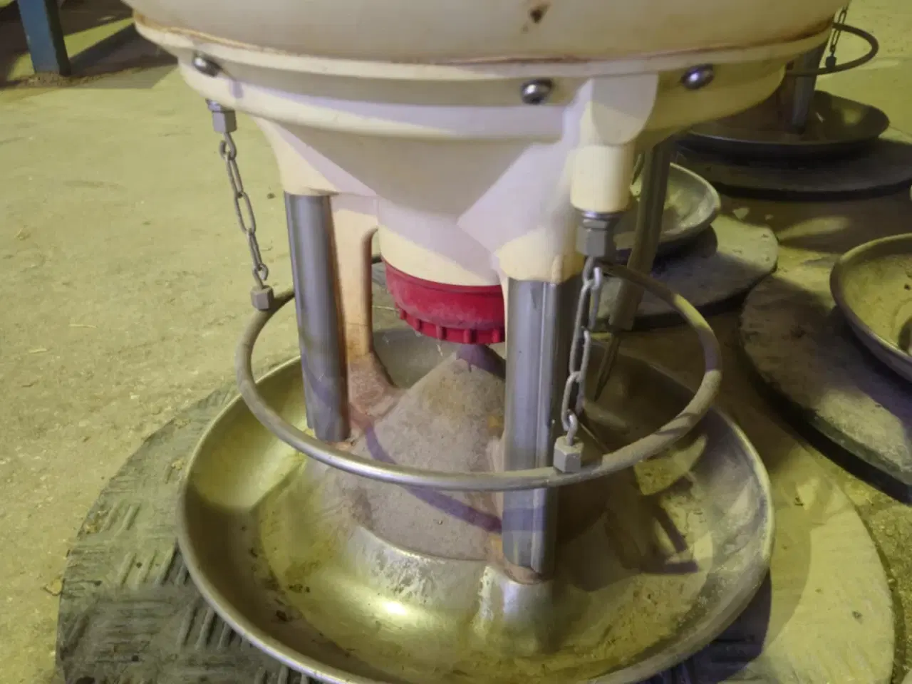 Billede 18 - DLG First Feeder