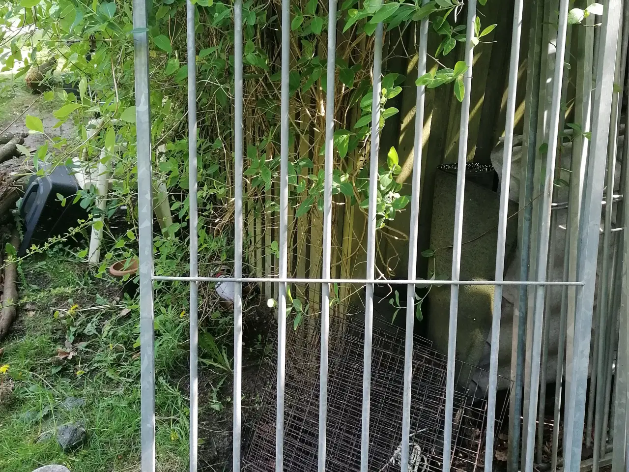 Billede 2 - Hundegård
