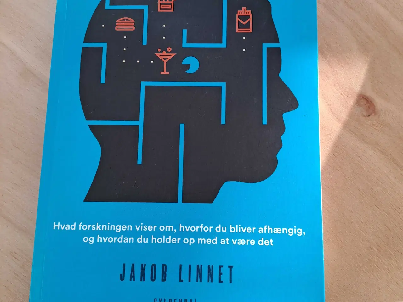 Billede 2 - Bogen "Din hjerne snyder dig" - en bog om misbrug