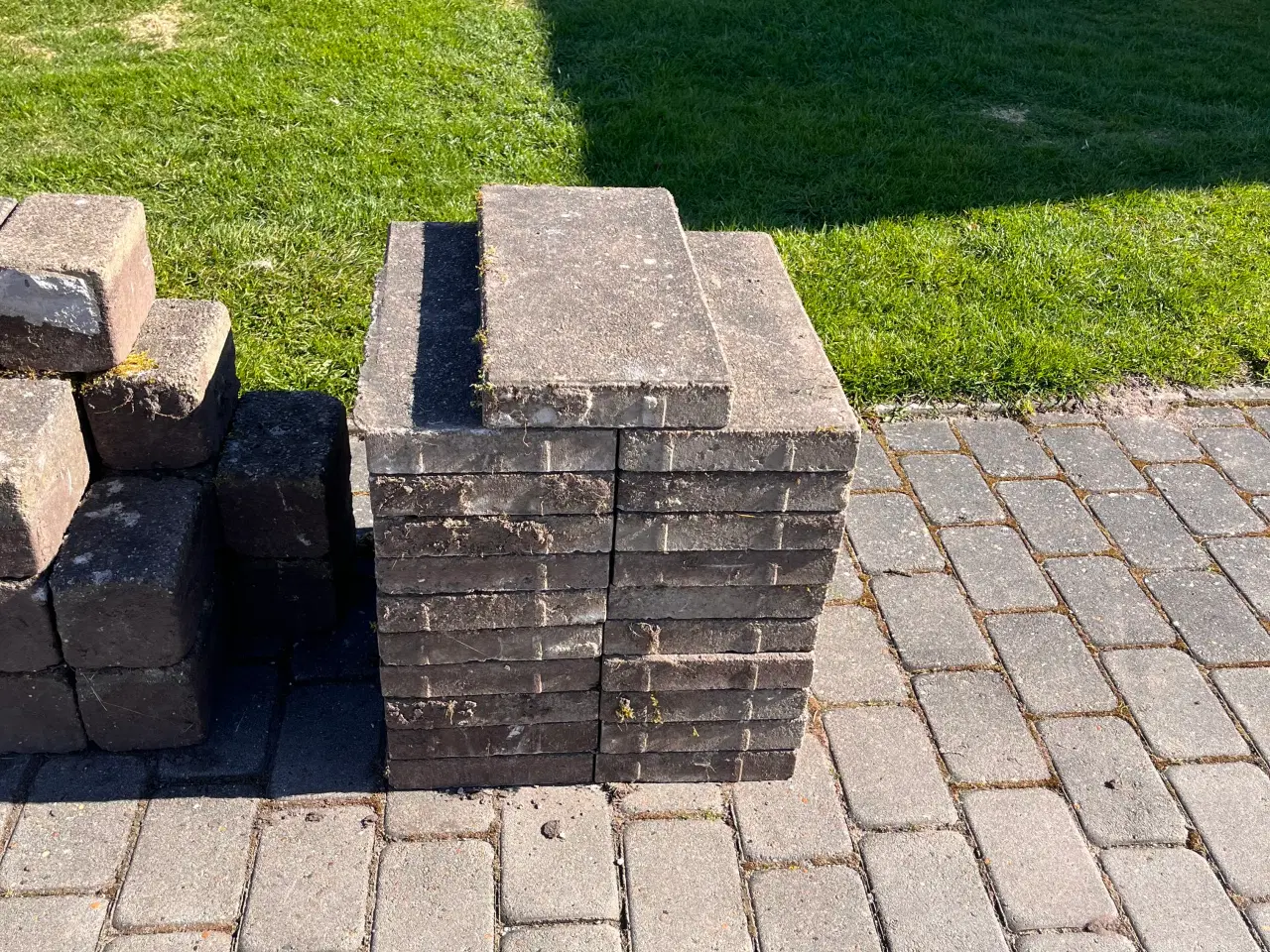 Billede 3 - To slags havesten til afhentning