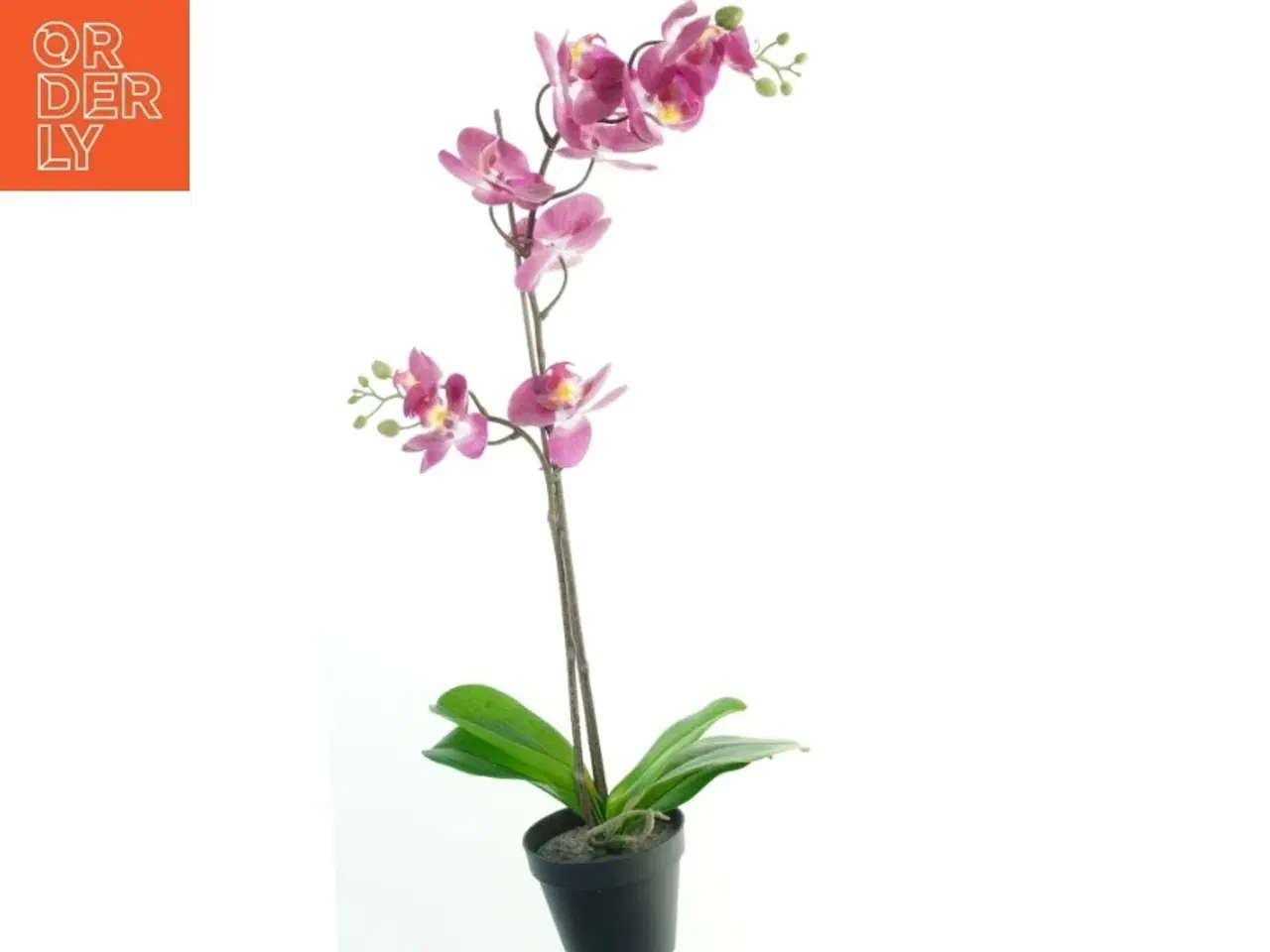 Billede 1 - Kunstig orkidé i potte fra IKEA (str. 69 cm)
