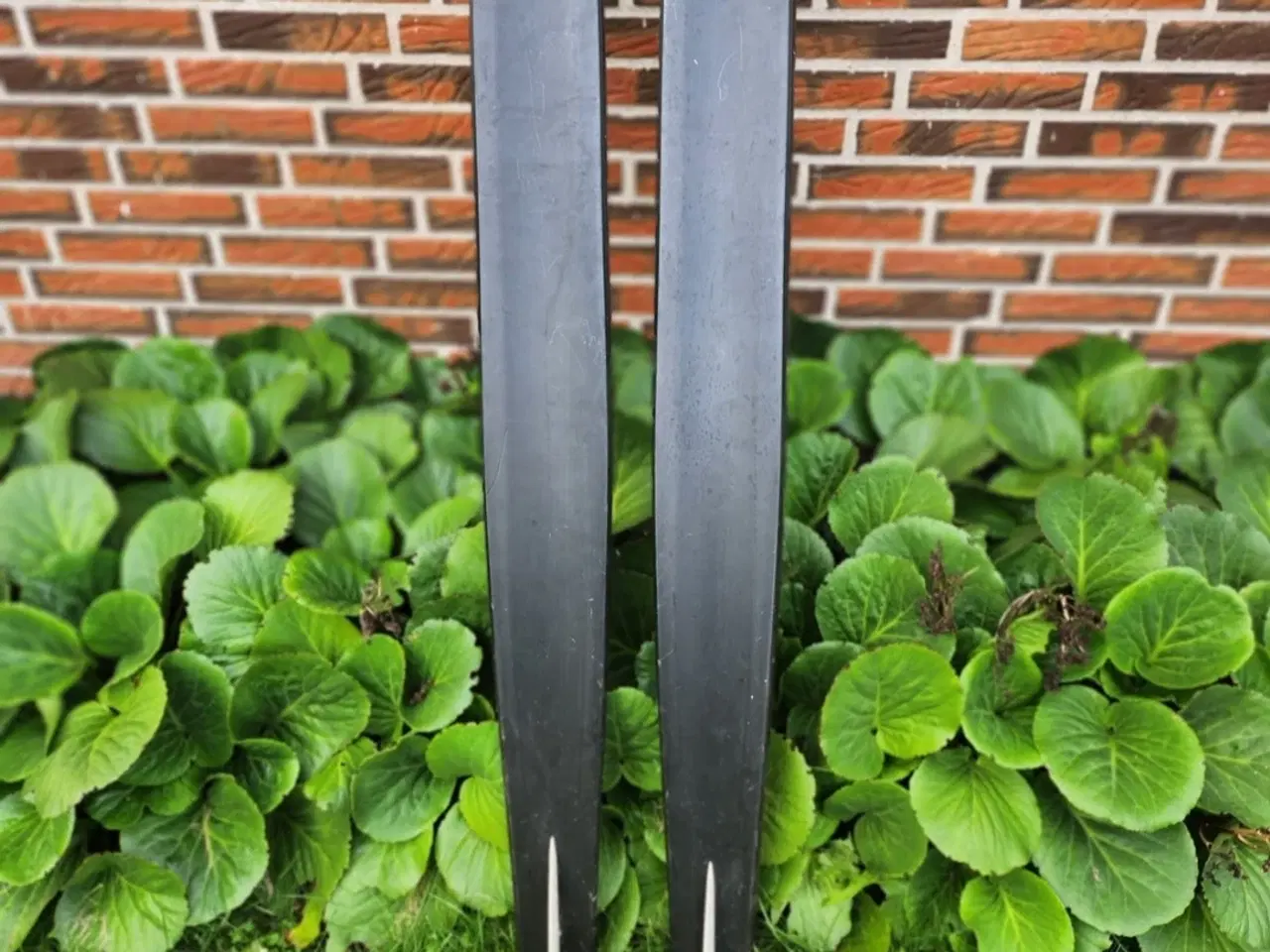 Billede 7 - Vandski junior
