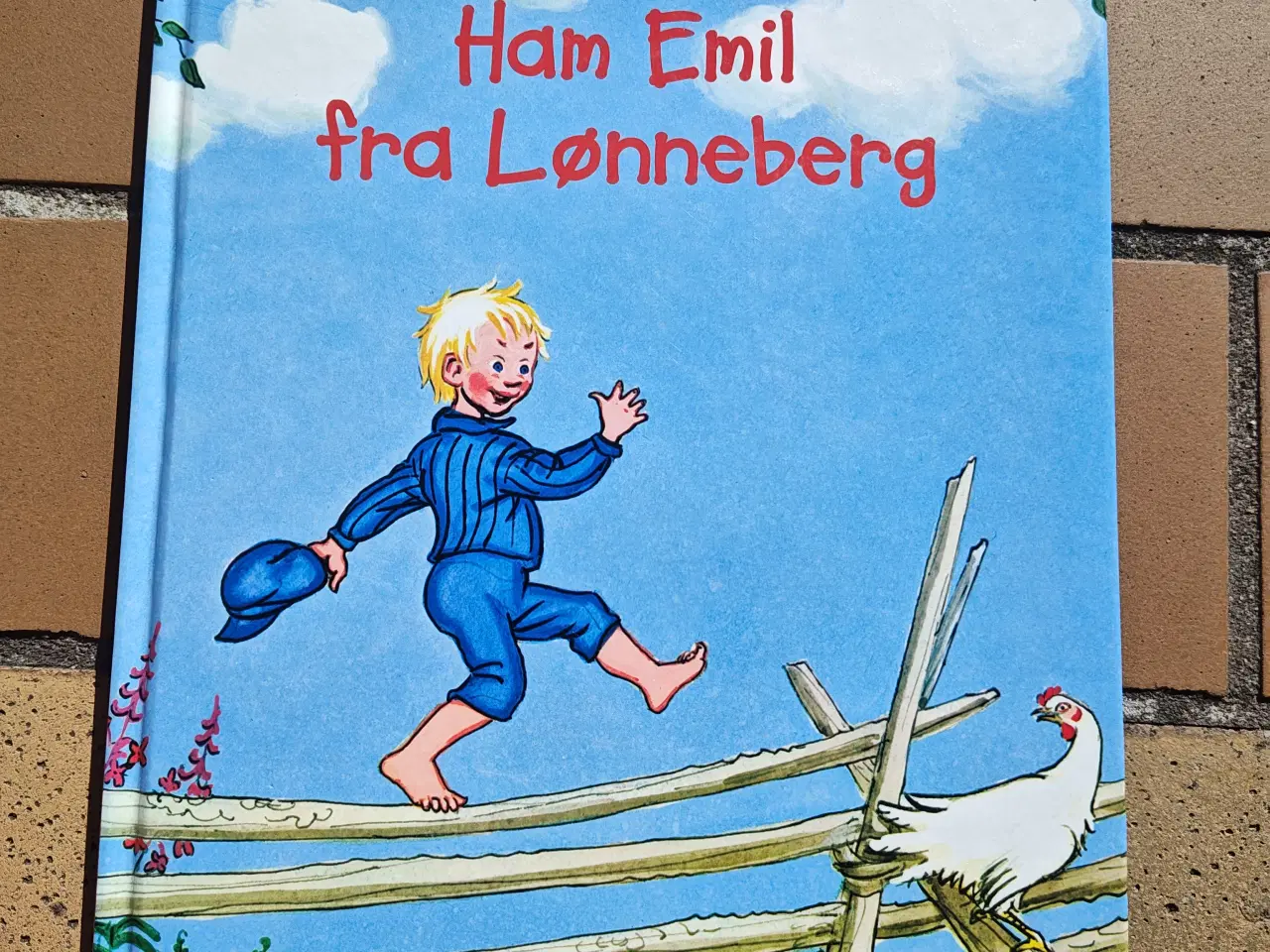 Billede 1 - Ham Emil fra Lønneberg Bog