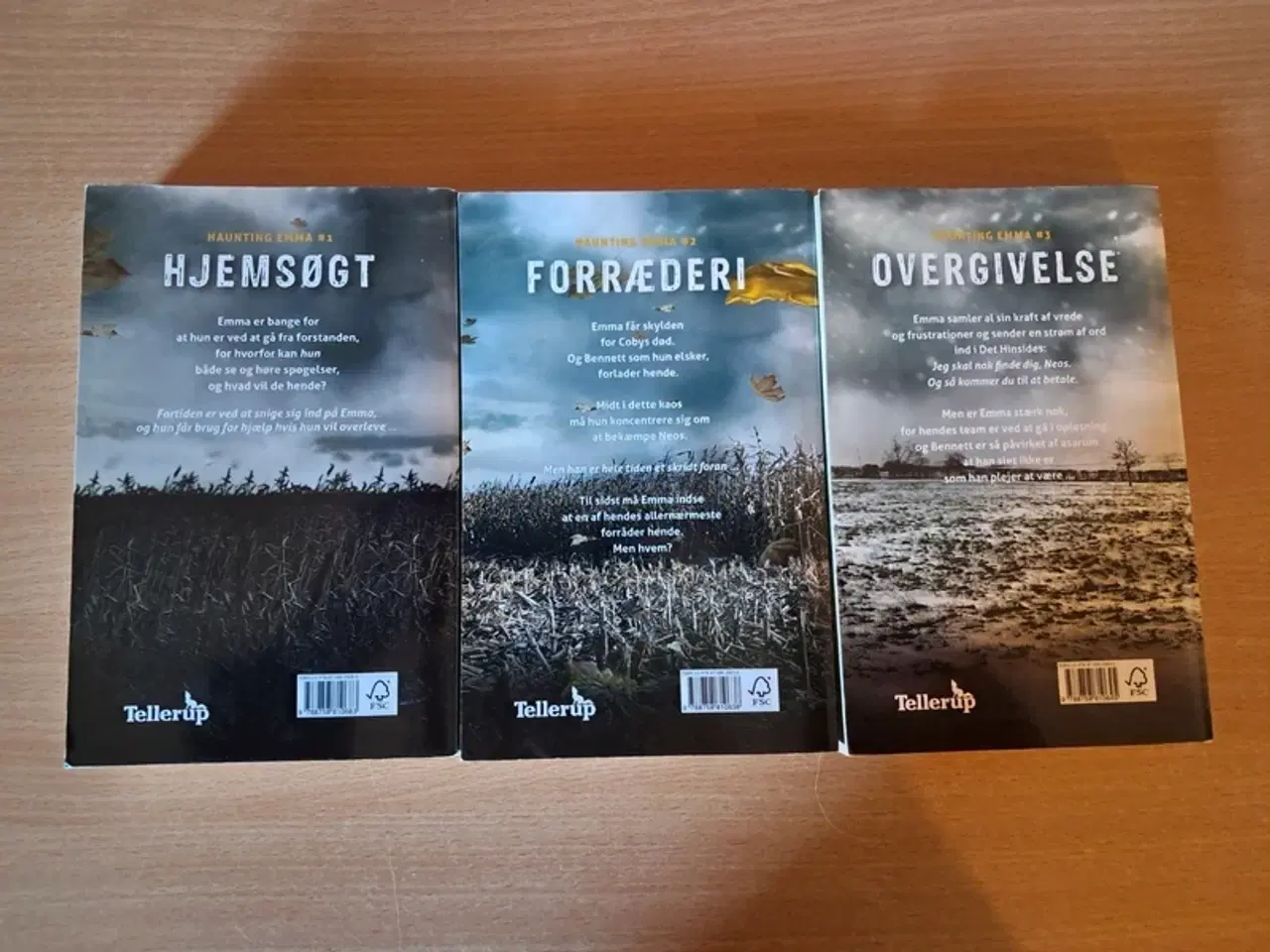 Billede 2 - Haunted Emma 1-3 (komplet)