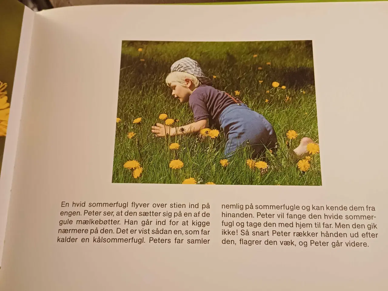 Billede 5 - 4 forskellige ældre børne bøger 