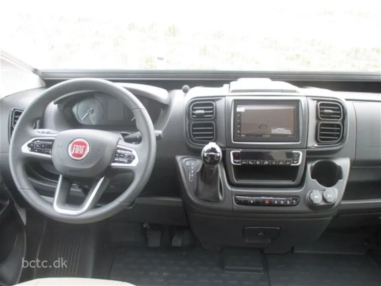 Billede 12 - 2022 - Giottiline Sienna