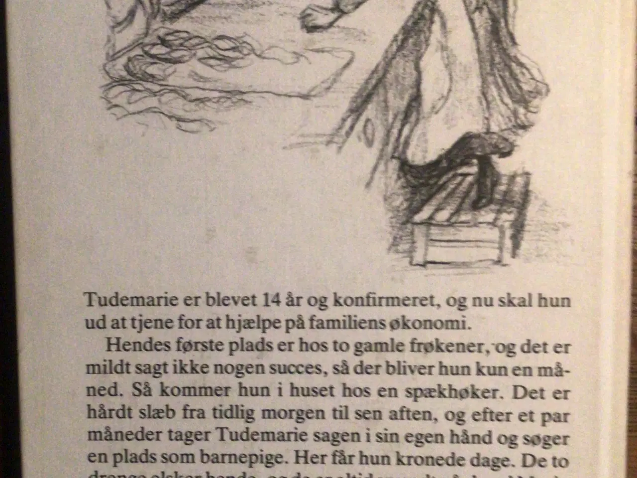 Billede 2 - Maria Andersen : Tudemarie søger plads