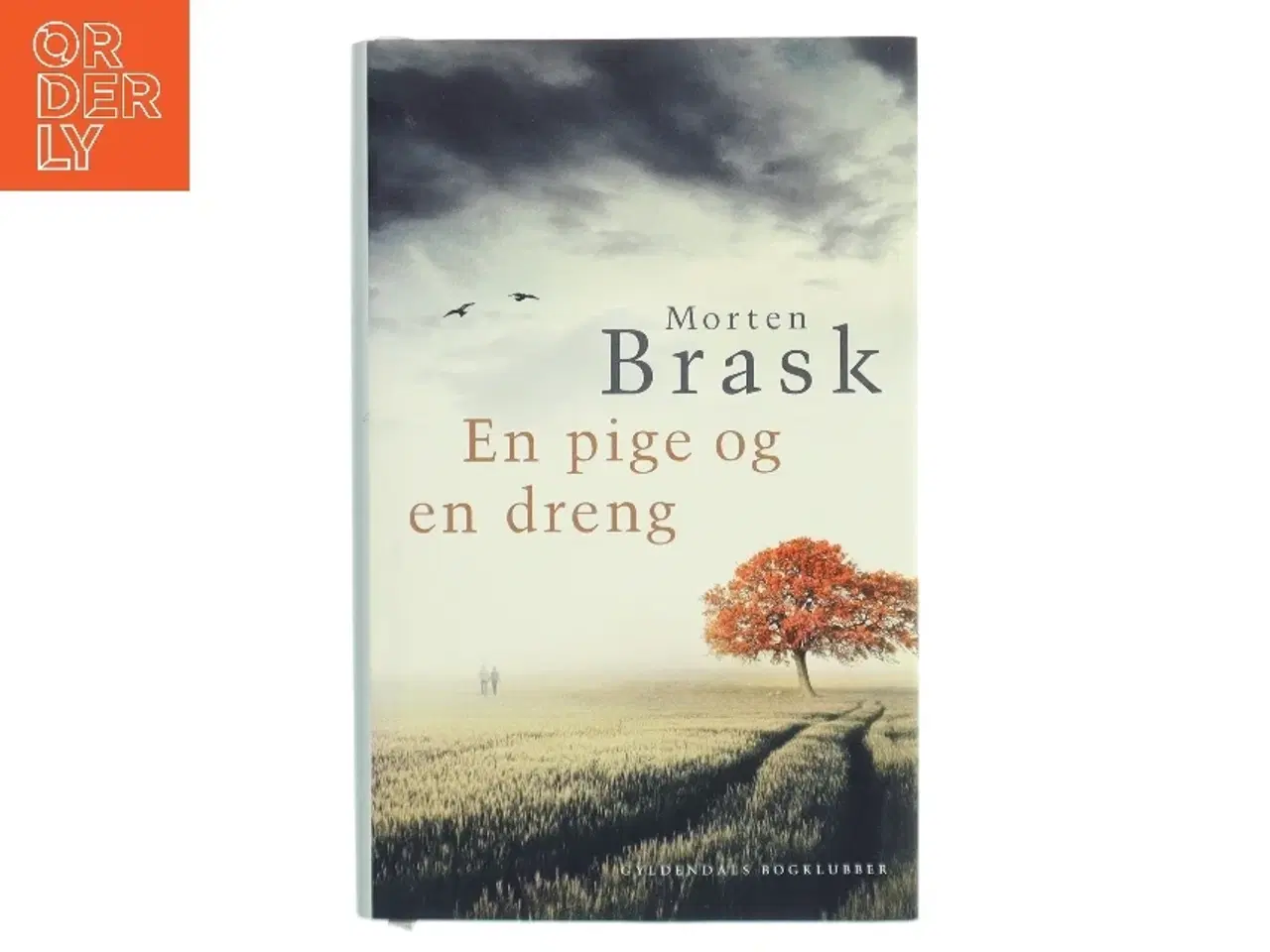 Billede 1 - En pige og en dreng af Morten Brask (Bog)