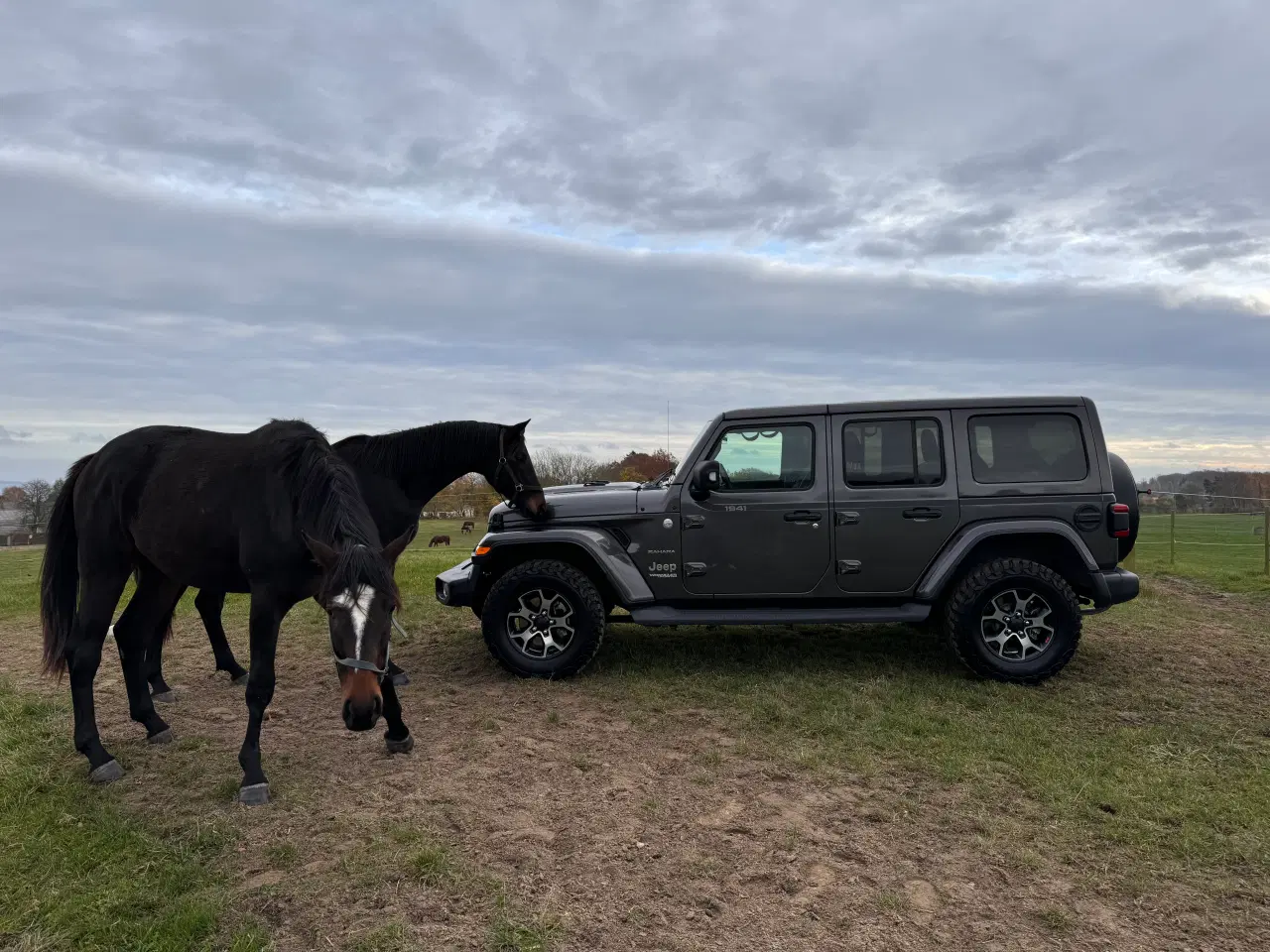 Billede 6 - Jeep Wrangler Sahara 2.0 T-GDi Aut 4X4 Fuld Afgift