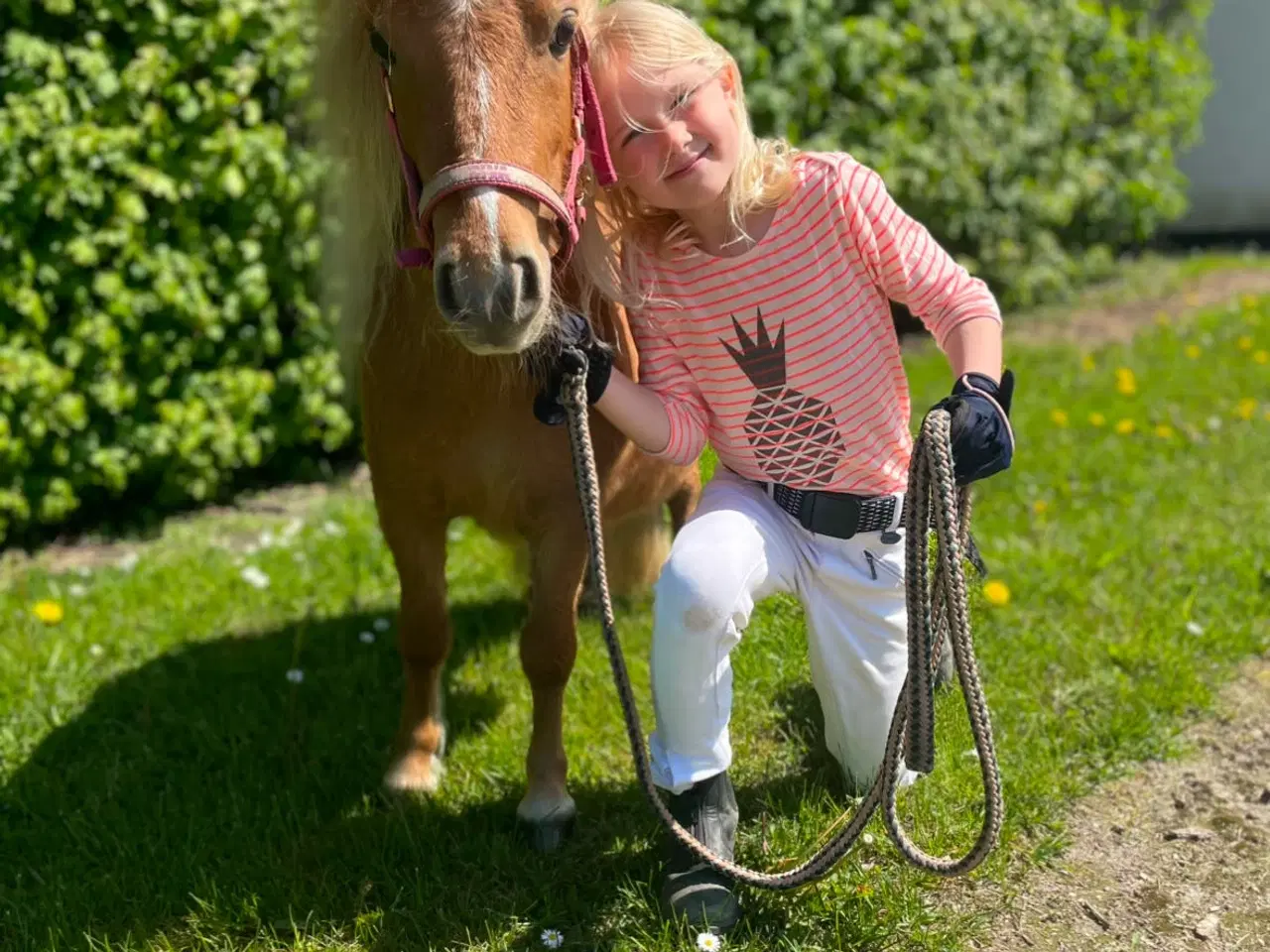 Billede 2 - Sødeste lille Pony tilsalg
