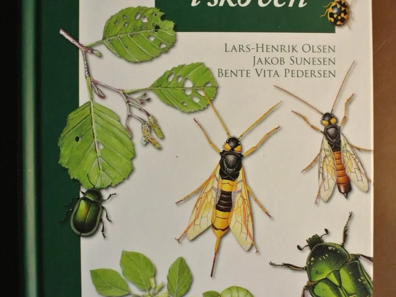 Billede 1 - små dyr i skoven, af lars-henrik olsen mfl. ,