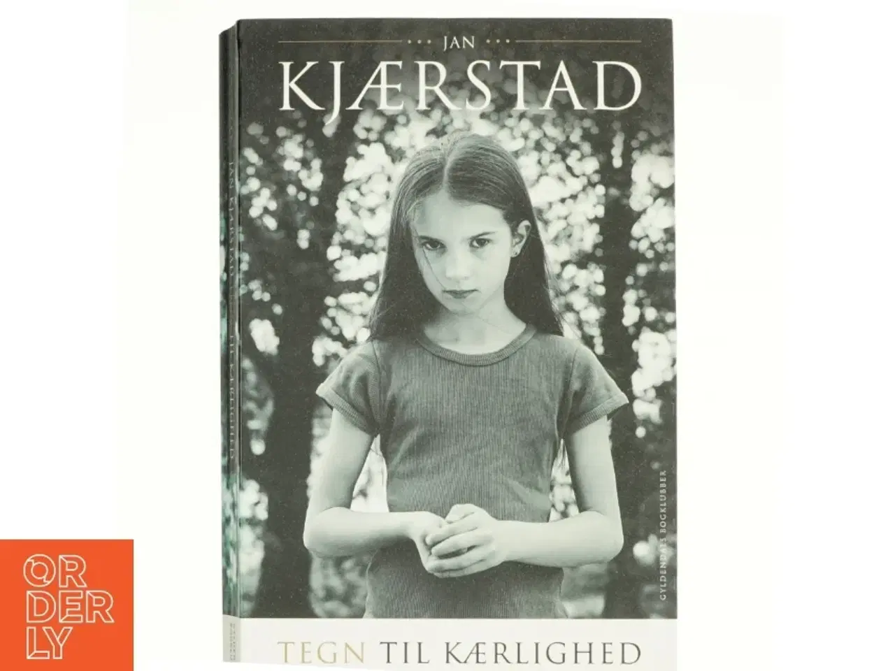 Billede 1 - Tegn til kærlighed : roman af Jan Kjærstad (Bog)