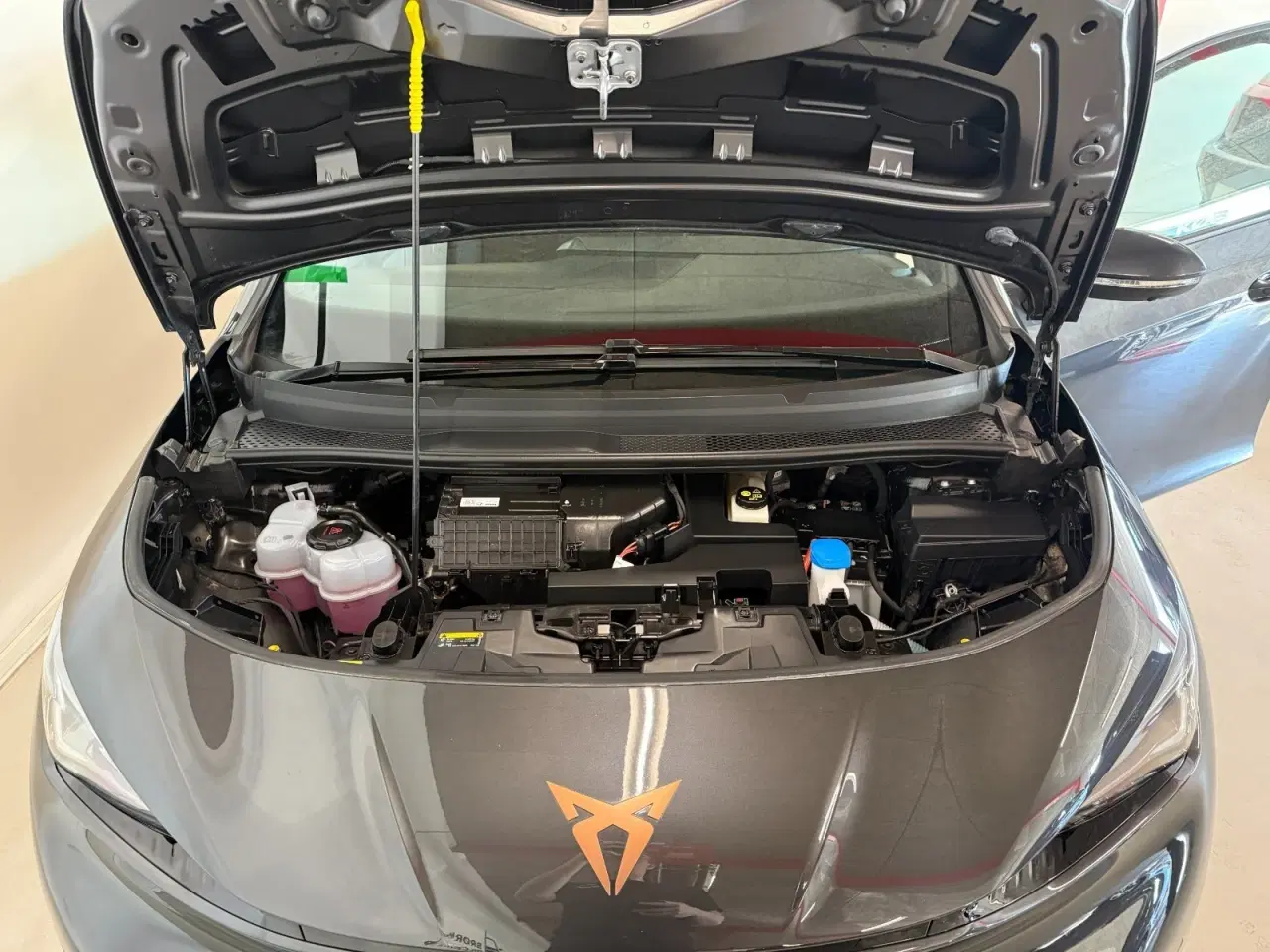 Billede 24 - Cupra Born 77 e-Boost