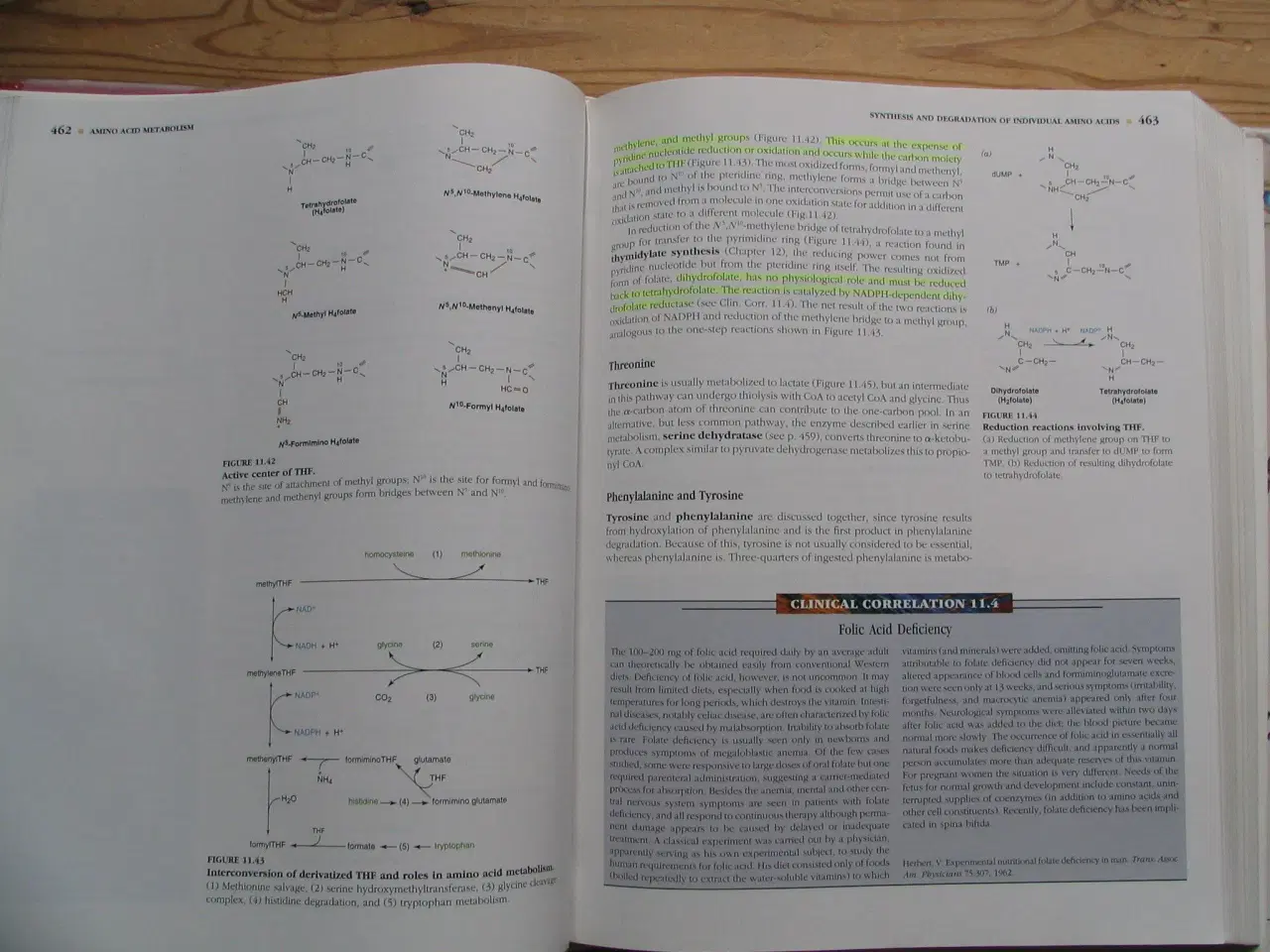 Billede 5 - Textbook of Biochemistry with Clinical Correlation