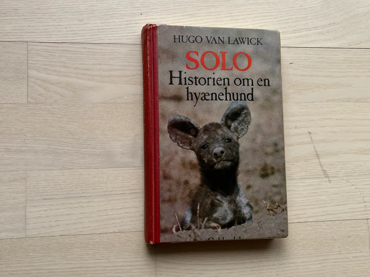 Billede 1 - Solo - Historien om en hyænehund